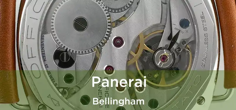  Panerai Bellingham